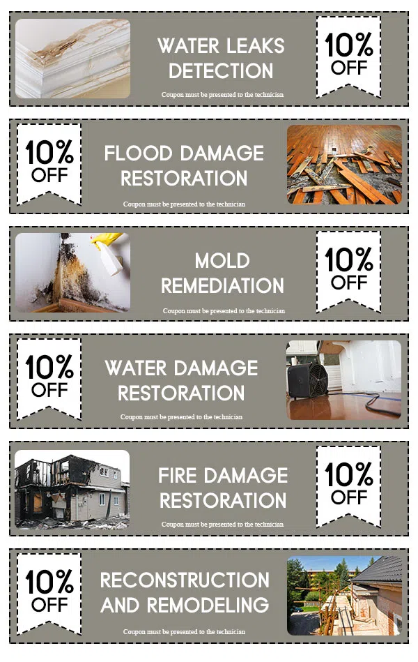 Hialeah Emergency Restoration Hialeah, FL 786-384-6092 Hialeah Emergency Restoration Hialeah, FL 786-384-6092 - cpn-wgr-35