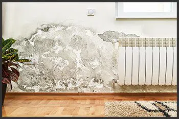 Hialeah Emergency Restoration Hialeah, FL 786-384-6092 - damage-wgr-35