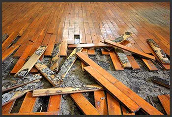 Hialeah Emergency Restoration Hialeah, FL 786-384-6092 - flood-wgr-35