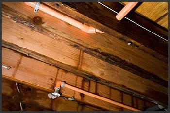 Hialeah Emergency Restoration Hialeah, FL 786-384-6092