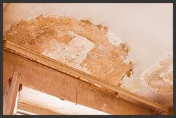 Hialeah Emergency Restoration Hialeah, FL 786-384-6092